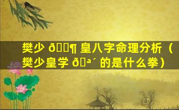 樊少 🐶 皇八字命理分析（樊少皇学 🪴 的是什么拳）